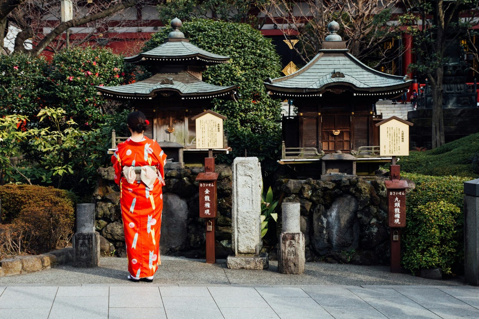 ntdtvjp: Bridging Cultures Through Japan’s Perspective